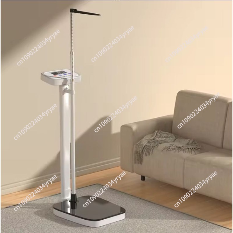 Báscula inteligente con conexi - Digital Body Weight Scale reseña y precio