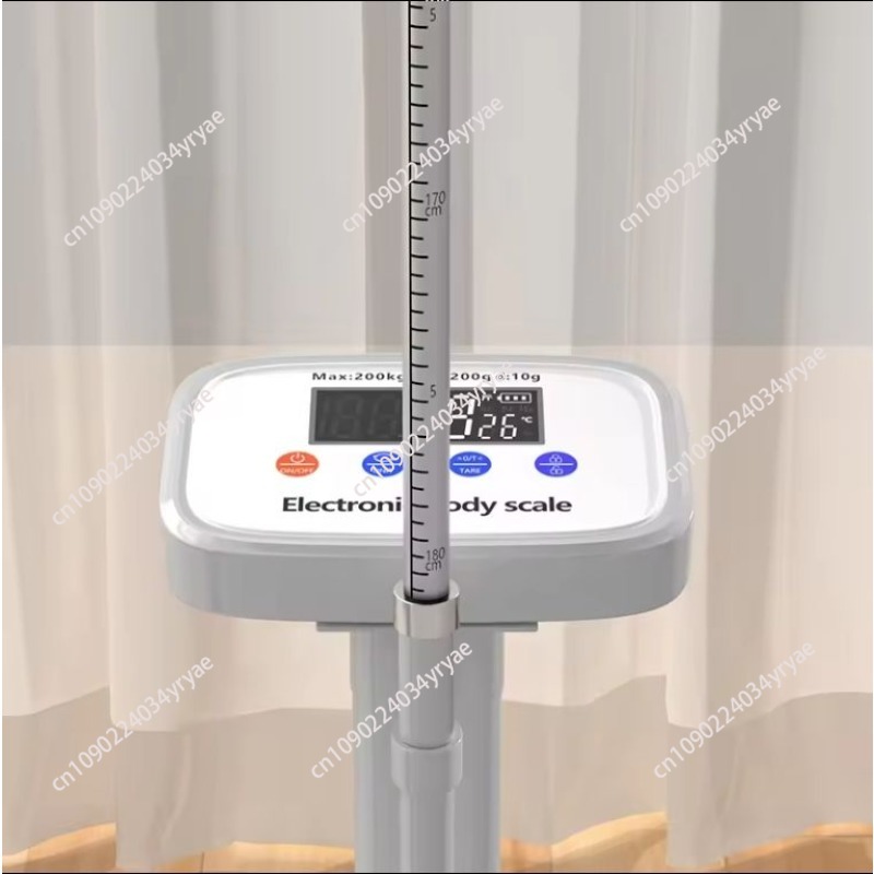 Báscula inteligente con conexi - Digital Body Weight Scale reseña y precio