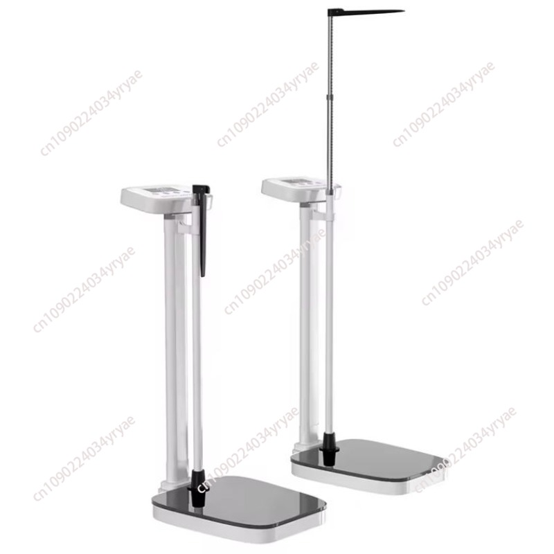Báscula inteligente con conexi - Digital Body Weight Scale reseña y precio