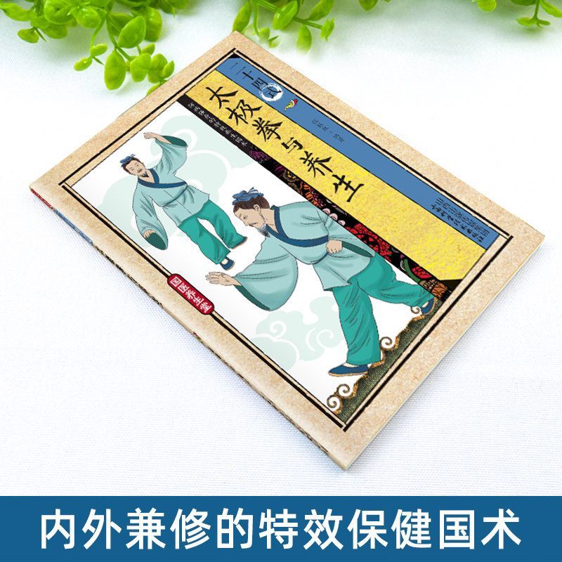 24 Estilos de Tai Chi y Ejerci - Health & Wellness Naics Code reseña y precio