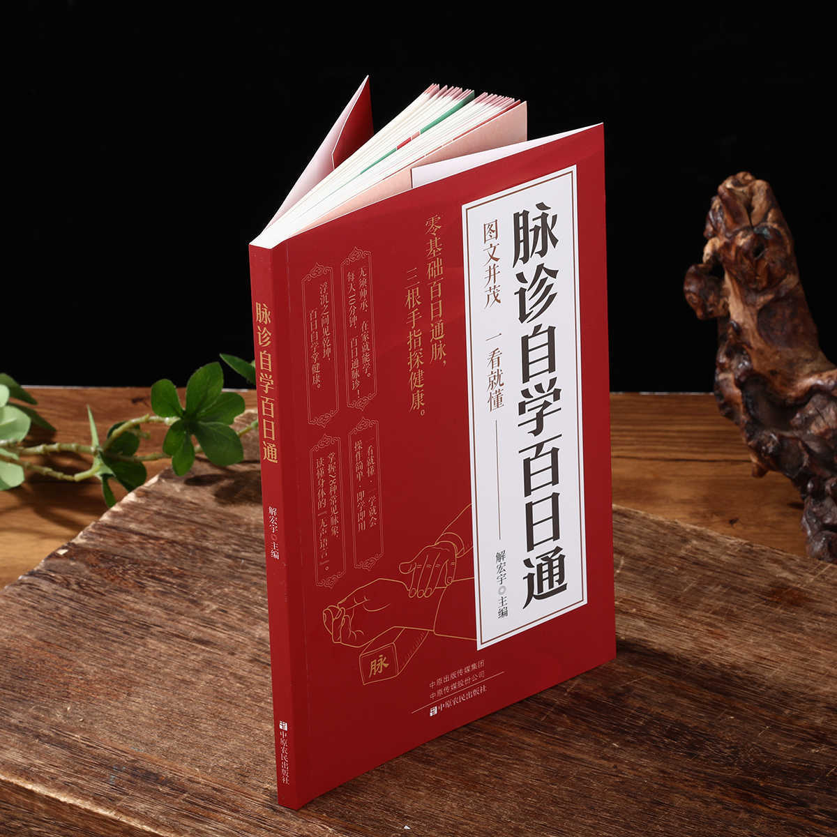 Libro de autoestudio sobre dia - Health & Wellness Naics Code reseña y precio