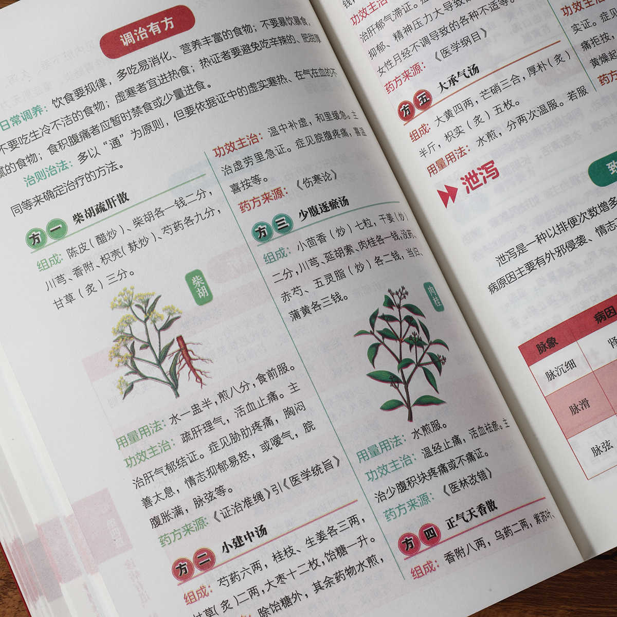 Libro de autoestudio sobre dia - Health & Wellness Naics Code reseña y precio